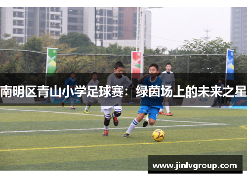南明区青山小学足球赛：绿茵场上的未来之星